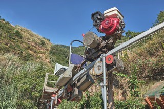 Monterosso   <em>(Cinque Terre)</em>  |   5  /  5    |