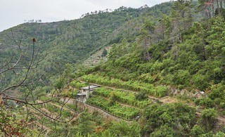 Riomaggiore   <em>(Cinque Terre)</em>  |   7  /  12    |