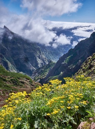 Pico do Areeiro   <em>(Madère)</em>  |   11  /  16    |