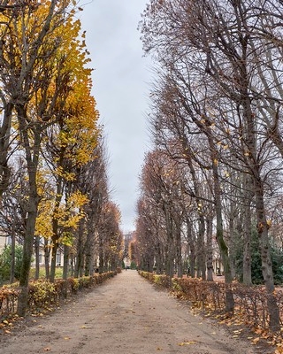 Paris   (Musée Rodin)    |   7  /  26    | 