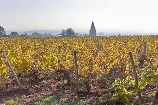 Images de vougeot automne 