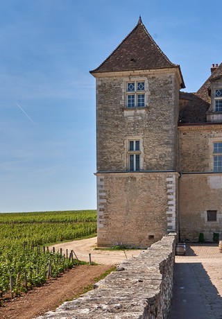 Vougeot  |   1  /  8    | 