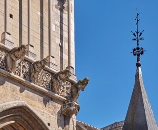 Dijon   (Cathédrale Saint Bénigne)    |   5  /  21    |