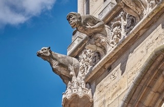 Dijon   (Cathédrale Saint Bénigne)    |   6  /  21    | 