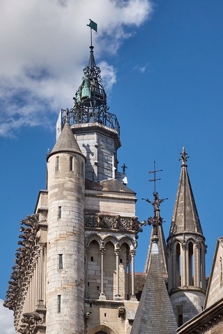 Dijon   (Cathédrale Saint Bénigne)    |   11  /  21    | 