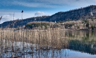 Lacs du Jura  |   2  /  3    |