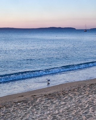 Le Lavandou   |   5  /  14    |