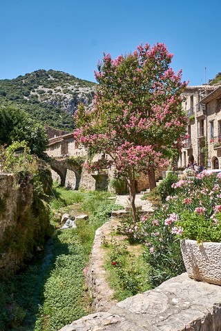 Saint-Guilhem     |   1  /  7    | 