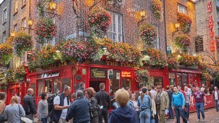 Dublin    <em>(Temple bar)</em>  |   13  /  43    | 