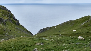 Slieve League     |   11  /  13    |