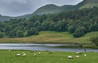 Sligo   <em>(Glencar Lough)</em>  |   4  /  63    |