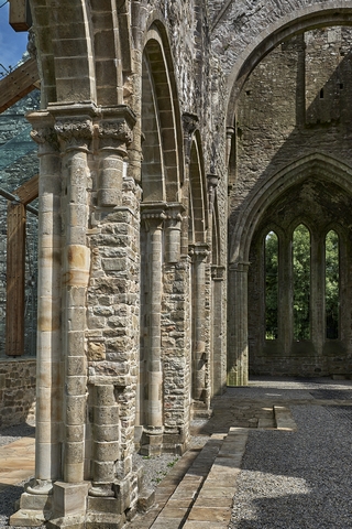 Boyle   <em>(Boyle Abbey)</em>  |   12  /  63    |