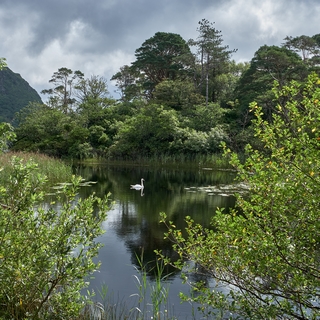 Galway   <em>(Kylemore Abbey) </em>  |   33  /  63    |