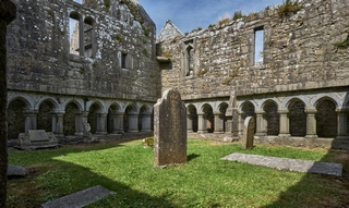 Galway   <em>(Ross Errilly Friary)</em>  |   46  /  63    |