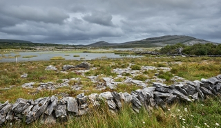 Clare   <em>(Burren Nationaal Park)</em>    55  /  63    |