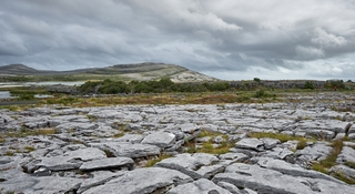 Clare    (Burren Nationaal Park)  |   56  /  63    | 