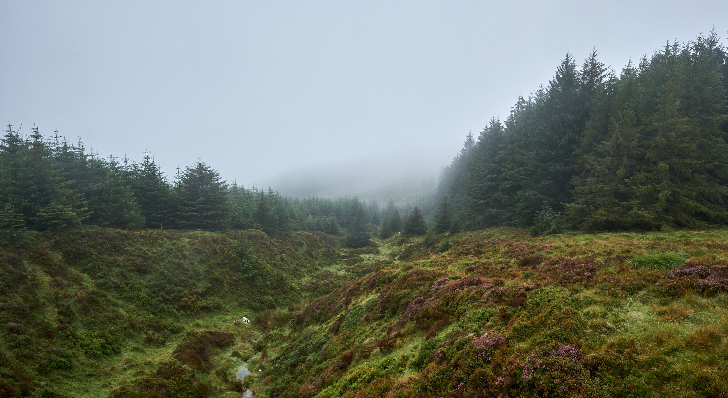 IMAGES de sud-est irlande