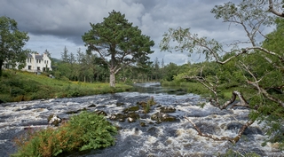 Kerry    <em>(Glencar, caragh river)</em>  |   16  /  37    | 