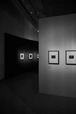 Musée du jeu de Paume - Paris    |   2  /  3    | 