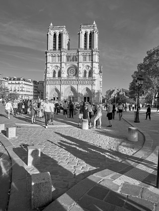 Paris    |   22  /  26   | 