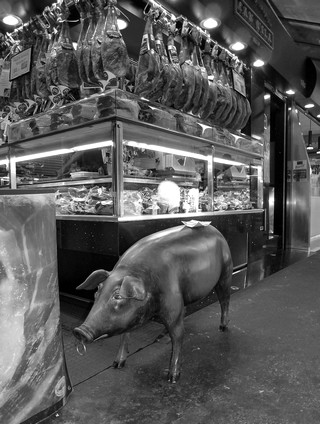 Barcelone   |   3  /  10    |