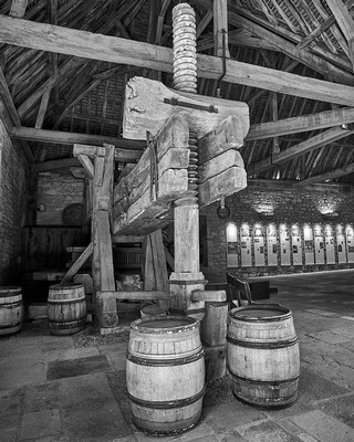 Vougeot   |   7  /  22    |