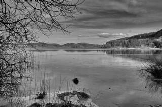 Lac du Jura   |   5  /  7    |