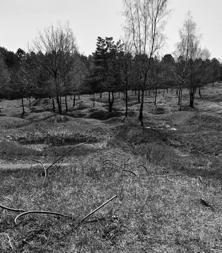 Verdun   |   11  /  11    |