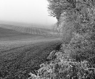 IMAGES de cote d'or