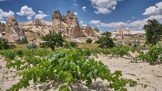 Göreme   <em> (Love valley)</em>   |   16  /  35 </p></div></a>