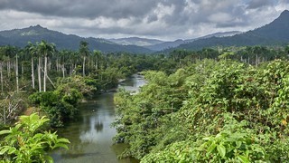 IMAGES de BARACOA