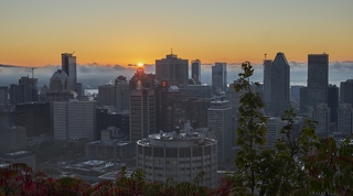 Montréal     |   2  /  36    |