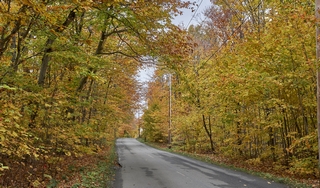 Québec   <em>(Ile d'Orléans) </em>   |   4  /  25    |