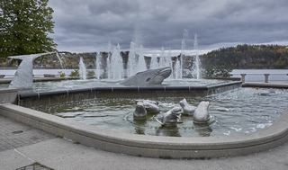 Saguenay    |   7  /  11    |
