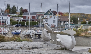 Tadoussac   |   4  /  25    |