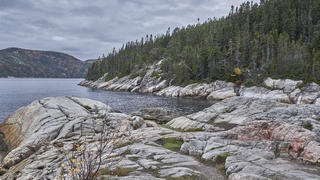 Tadoussac   |   6  /  25    |