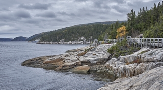 Tadoussac    |   7  /  25    |