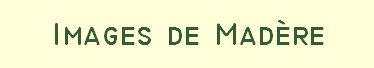 photos de madere